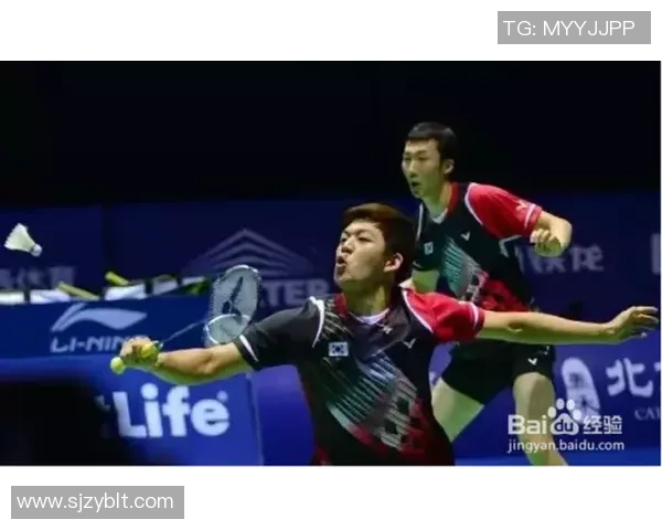 深入分析成都羽毛球队控制打法的战术特点与应用策略